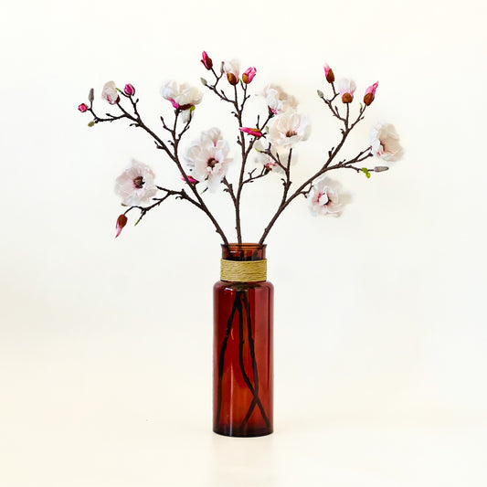De Magnolia Droom